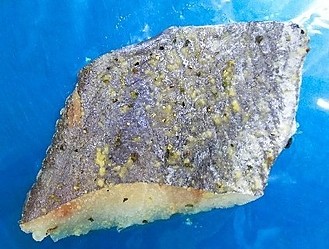 ホキジェノバソース漬