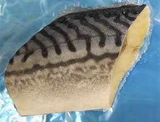 サバ緑茶塩漬調理前